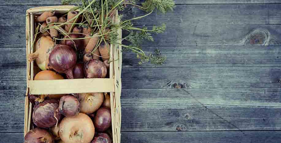 Τομέας Γεωπονίας, Τροφίμων και Περιβάλλοντος