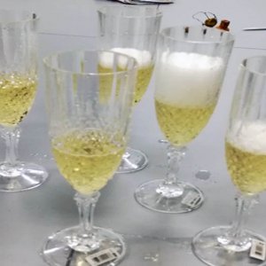 Επίσκεψη σε Wine Tasting
