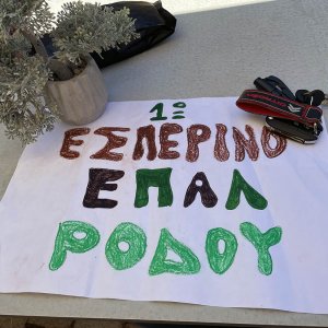 Let?s do it GREECE: Εθελοντική Δράση του Εσπερινού ΕΠΑΛ Ρόδου